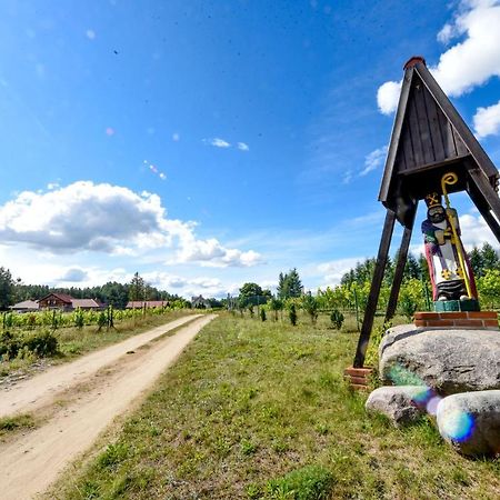 Winnica "Zabi Raj" Skarszewy Exteriér fotografie