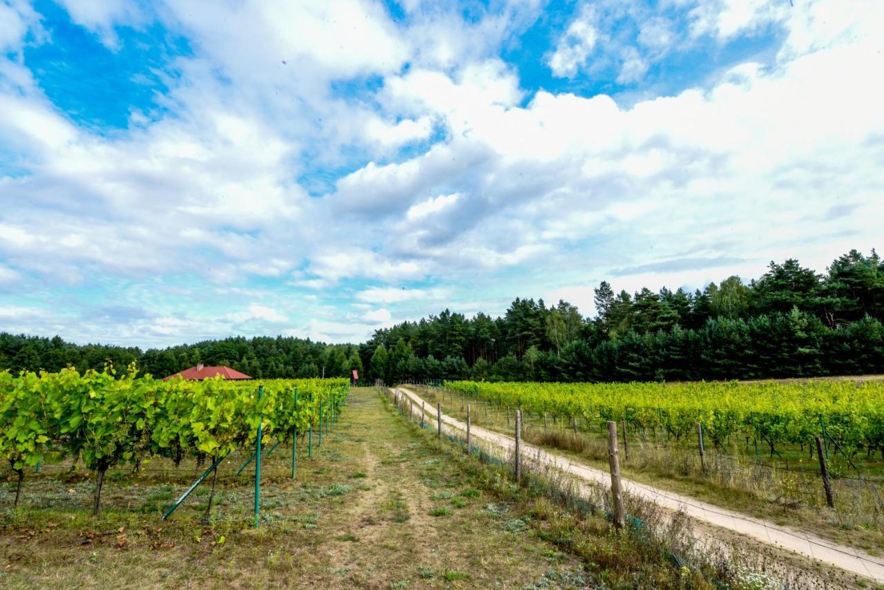 Winnica "Zabi Raj" Skarszewy Exteriér fotografie