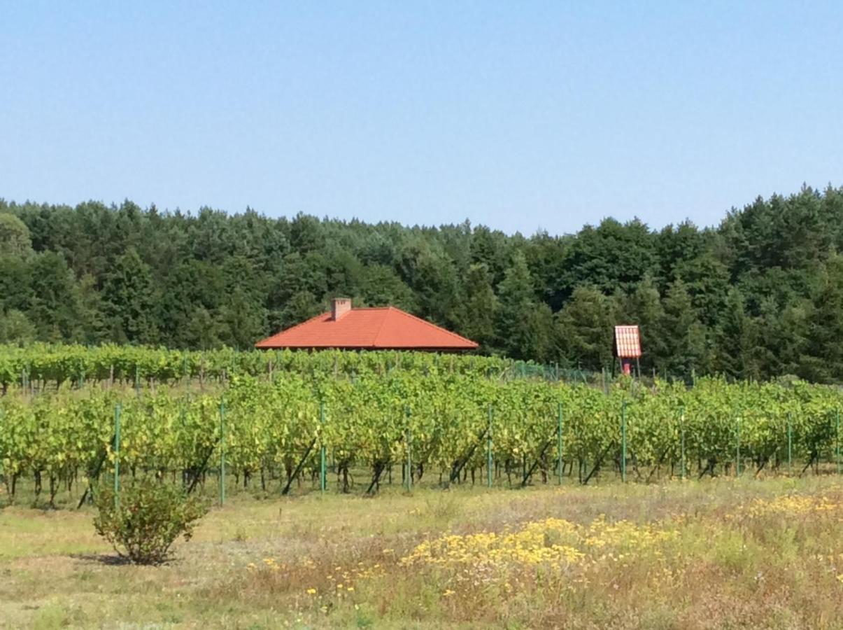 Winnica "Zabi Raj" Skarszewy Exteriér fotografie