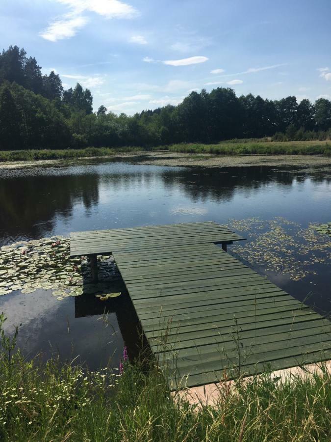 Winnica "Zabi Raj" Skarszewy Exteriér fotografie